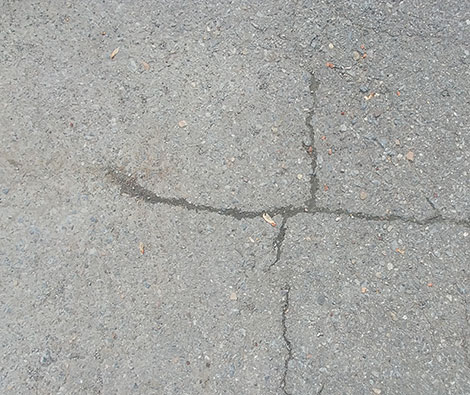 Scellement fissure Laval